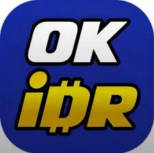 OKIDR - Petualangan Arcade yang Seru dan Menantang